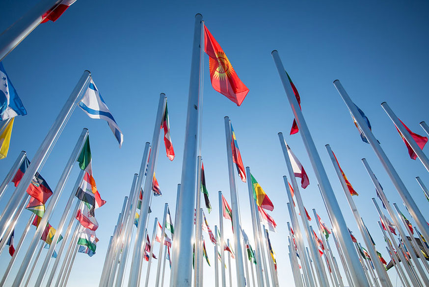 COP25 flags