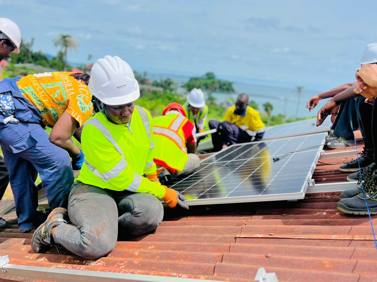 solar panel gender study