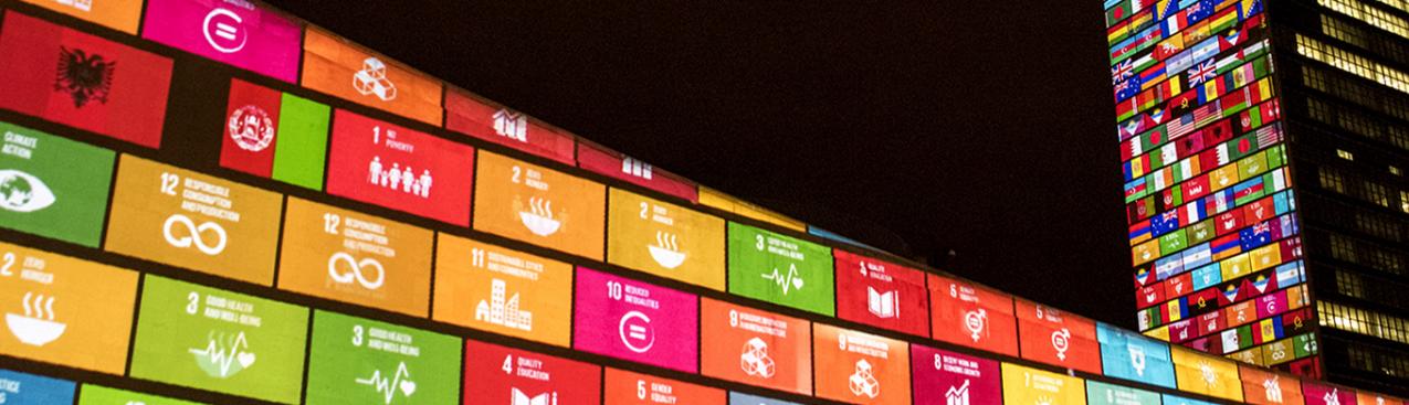 SEforALL activities during UNGA and Climate Week NYC 2020 | Sustainable
