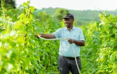 Rwanda-solar-water-pump