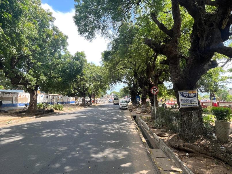 Figure 10 Street trees providing shading and cooling on Oxford Road, Accra, Ghana credit Timothy Whitehouse.jpeg 